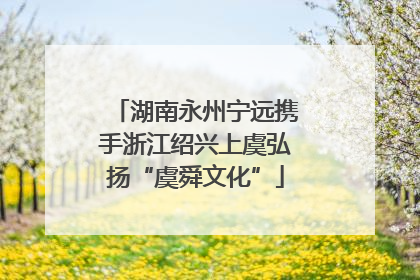 湖南永州宁远携手浙江绍兴上虞弘扬“虞舜文化”
