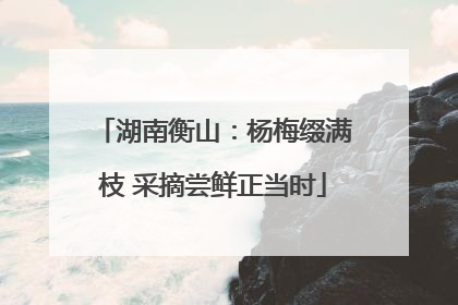 湖南衡山：杨梅缀满枝 采摘尝鲜正当时