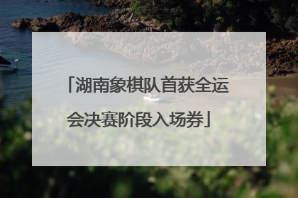 湖南象棋队首获全运会决赛阶段入场券