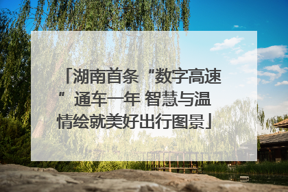 湖南首条“数字高速”通车一年 智慧与温情绘就美好出行图景