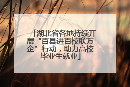 湖北省各地持续开展“百县进百校联万企”行动，助力高校毕业生就业