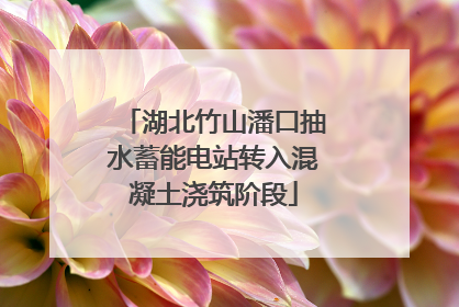 湖北竹山潘口抽水蓄能电站转入混凝土浇筑阶段