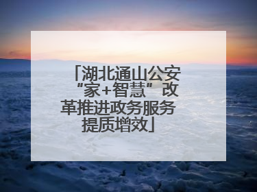 湖北通山公安“家+智慧”改革推进政务服务提质增效