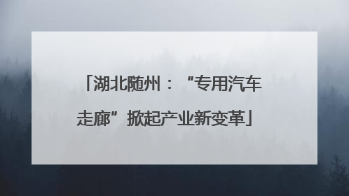 湖北随州：“专用汽车走廊”掀起产业新变革