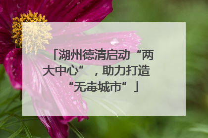 湖州德清启动“两大中心”，助力打造“无毒城市”