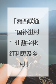湘西联通“国补进村”让数字化红利惠及乡村