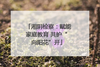 湘阴检察：赋能家庭教育 共护“向阳花”开