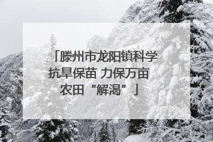 滕州市龙阳镇科学抗旱保苗 力保万亩农田“解渴”
