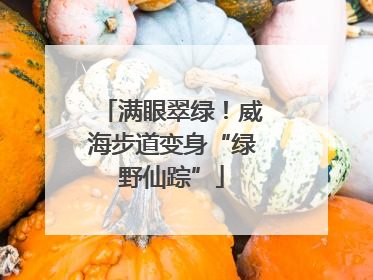 满眼翠绿！威海步道变身“绿野仙踪”