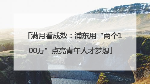 满月看成效：浦东用“两个100万”点亮青年人才梦想