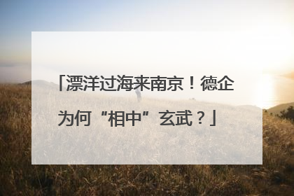 漂洋过海来南京！德企为何“相中”玄武？