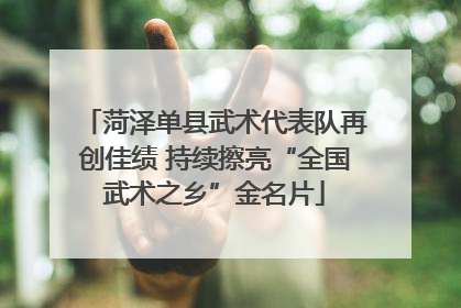 菏泽单县武术代表队再创佳绩 持续擦亮“全国武术之乡”金名片