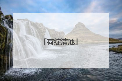 荷绽清池