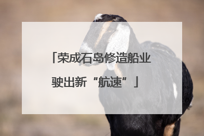 荣成石岛修造船业驶出新“航速”
