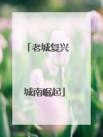 老城复兴 城南崛起
