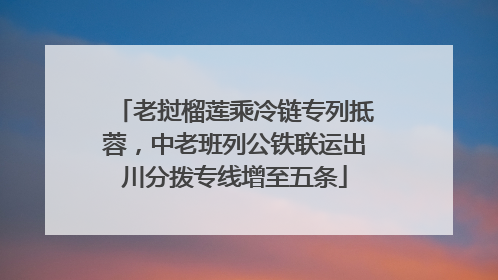 老挝榴莲乘冷链专列抵蓉，中老班列公铁联运出川分拨专线增至五条
