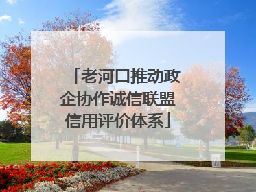 老河口推动政企协作诚信联盟信用评价体系