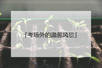 考场外的温馨风景