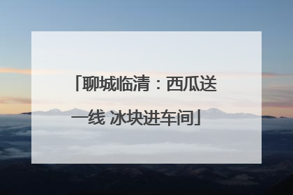 聊城临清：西瓜送一线 冰块进车间