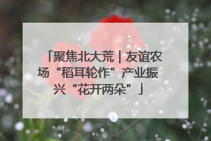 聚焦北大荒｜友谊农场“稻耳轮作”产业振兴“花开两朵”