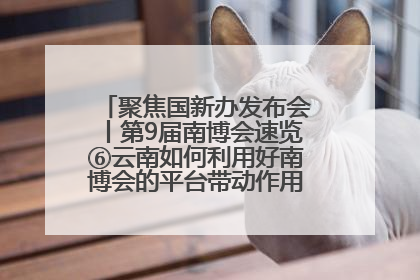 聚焦国新办发布会丨第9届南博会速览⑥云南如何利用好南博会的平台带动作用，深化与南亚国家的交流与合作？