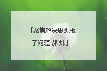 聚焦解决思想根子问题 郝 炜