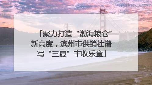 聚力打造“渤海粮仓”新高度，滨州市供销社谱写“三夏”丰收乐章