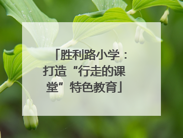胜利路小学：打造“行走的课堂”特色教育