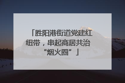 胜阳港街道党建红纽带，串起商居共治 “烟火圈”