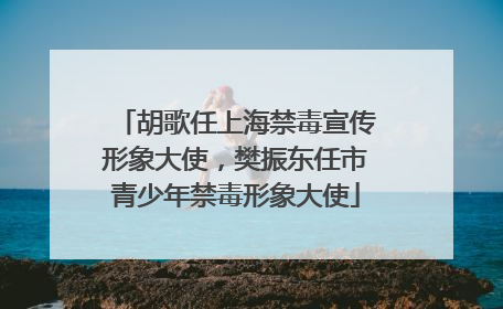 胡歌任上海禁毒宣传形象大使，樊振东任市青少年禁毒形象大使