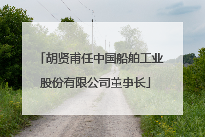 胡贤甫任中国船舶工业股份有限公司董事长