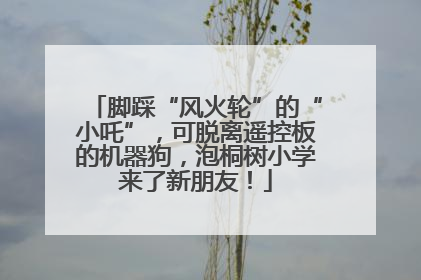 脚踩“风火轮”的“小吒”，可脱离遥控板的机器狗，泡桐树小学来了新朋友！