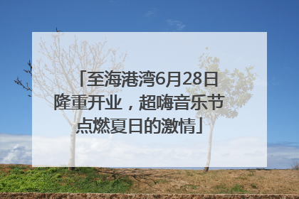 至海港湾6月28日隆重开业，超嗨音乐节点燃夏日的激情