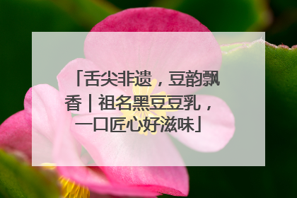 舌尖非遗，豆韵飘香｜祖名黑豆豆乳，一口匠心好滋味