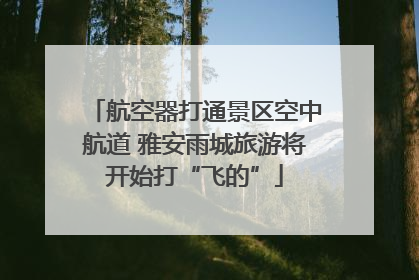 航空器打通景区空中航道 雅安雨城旅游将开始打“飞的”
