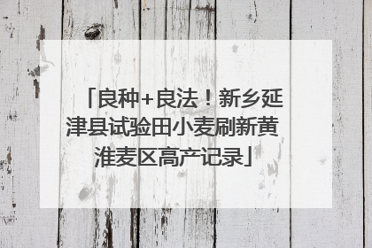 良种+良法！新乡延津县试验田小麦刷新黄淮麦区高产记录
