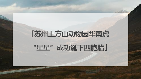 苏州上方山动物园华南虎“星星”成功诞下四胞胎