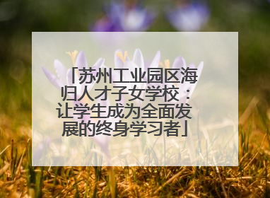 苏州工业园区海归人才子女学校：让学生成为全面发展的终身学习者