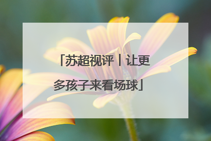 苏超视评︱让更多孩子来看场球