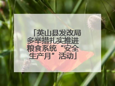 英山县发改局多举措扎实推进粮食系统“安全生产月”活动