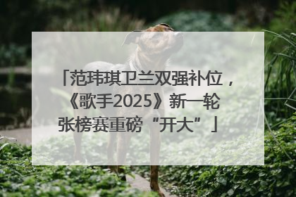 范玮琪卫兰双强补位，《歌手2025》新一轮张榜赛重磅“开大”