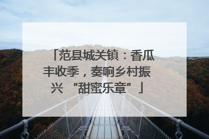 范县城关镇：香瓜丰收季，奏响乡村振兴 “甜蜜乐章”