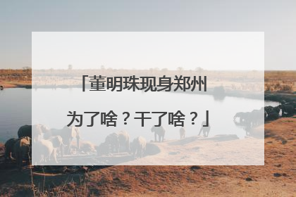 董明珠现身郑州 为了啥？干了啥？