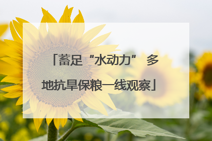 蓄足“水动力” 多地抗旱保粮一线观察
