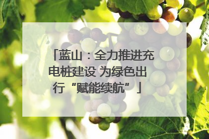 蓝山：全力推进充电桩建设 为绿色出行“赋能续航”