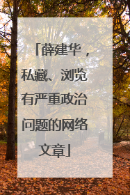 薛建华，私藏、浏览有严重政治问题的网络文章