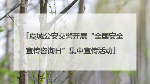 虞城公安交警开展“全国安全宣传咨询日”集中宣传活动
