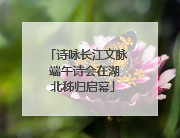 诗咏长江文脉 端午诗会在湖北秭归启幕