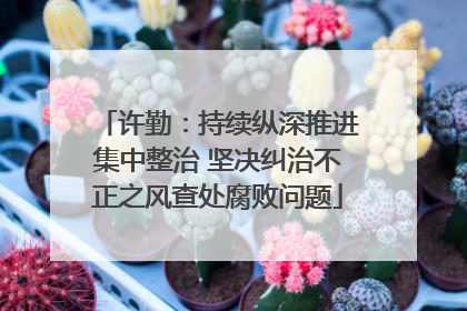 许勤：持续纵深推进集中整治 坚决纠治不正之风查处腐败问题