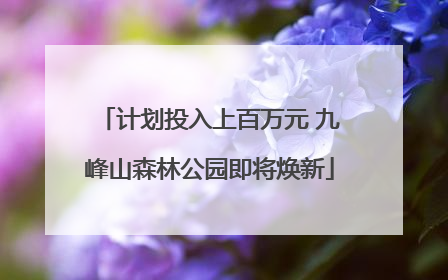 计划投入上百万元 九峰山森林公园即将焕新